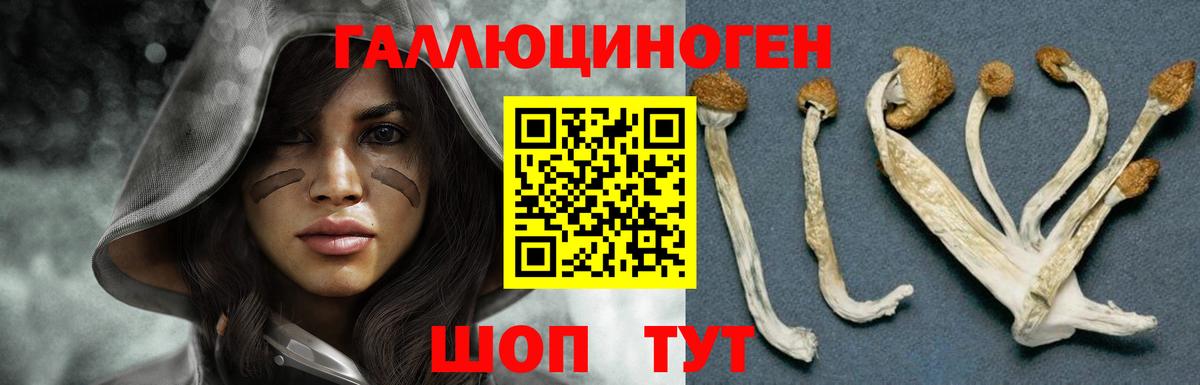 Псилоцибиновые грибы ЛСД Дубна
